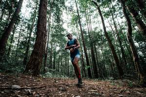 BIB: 
                            <button type="button" onclick="openModal(25261197)" class="btn btn-primary btn-sm float-right btn-popup" data-toggle="modal" data-target=".modal-high-quality">
                        <i class="fas fa-shopping-cart"></i> Add to Cart
                    </button>
                                            <button type="button" onclick="isThisMe(25261197, true)" class="btn btn-success btn-sm float-right btn-popup btn-isme hidden" data-toggle="tooltip" data-placement="bottom" title="นี่คือรูปของคุณใช่ไหม คลิกที่นี่เพื่อเอาเข้าอัลบั้ม">
                        <i class="fas fa-plus"></i> Add to album
                    </button>
                    <button type="button" onclick="isThisMe(25261197, false)" class="btn btn-warning btn-sm float-right btn-popup btn-isnotme hidden">
                        <i class="fas fa-ban"></i> Remove from album
                    </button>